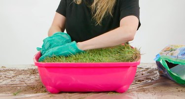 Build a Mini Indoor Garden for Your Cat: Easy DIY Guide