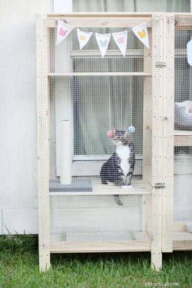 Transform an IKEA Shelf into a Stylish Catio for Your Cat