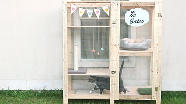 Transform an IKEA Shelf into a Stylish Catio for Your Cat