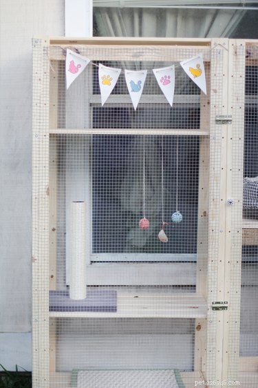 Transform an IKEA Shelf into a Stylish Catio for Your Cat