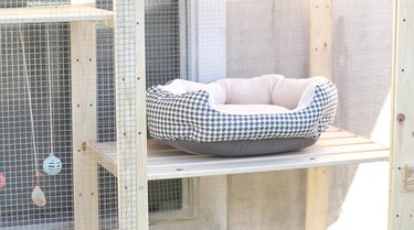 Transform an IKEA Shelf into a Stylish Catio for Your Cat