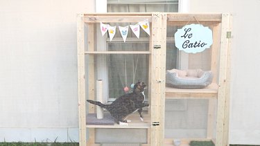 Transform an IKEA Shelf into a Stylish Catio for Your Cat