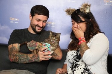 CatCon 2024: All You Need to Know About the Premier Feline Convention