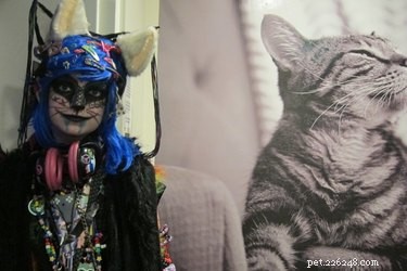 CatCon 2024: All You Need to Know About the Premier Feline Convention