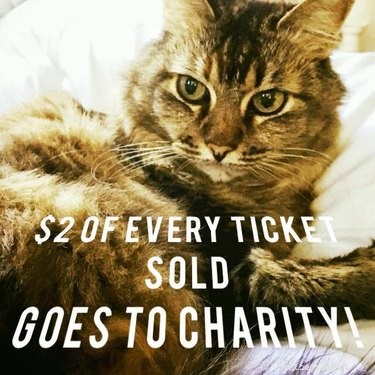 CatCon 2024: All You Need to Know About the Premier Feline Convention