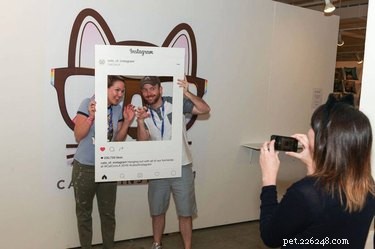 CatCon 2024: All You Need to Know About the Premier Feline Convention