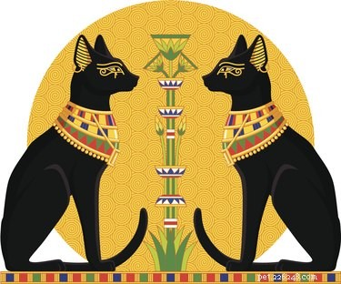 How Cats Self-Domesticated: The Science Behind Their Choice