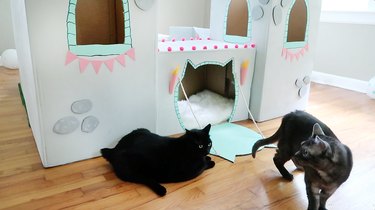 Build an Epic DIY Cardboard Cat Castle: Step‑by‑Step Guide