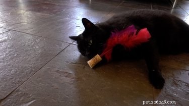 DIY Cat Toys from Wine Corks: Easy, Eco‑Friendly Fun for Your Feline