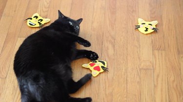 Create No‑Sew Emoji Catnip Toys: A Quick & Fun DIY for Modern Cats