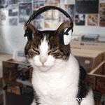 10 Common Cat Care Mistakes to Avoid