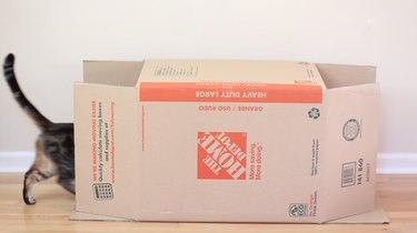 Create a Charming Vintage Cat Camper from Cardboard Boxes – Step-by-Step DIY Guide