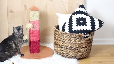 Build a Stylish Cat Scratching Post That Protects Your Furniture