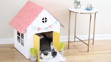 DIY Cat House: Transform Old Boxes Into a Stylish Home for Your Feline Friend