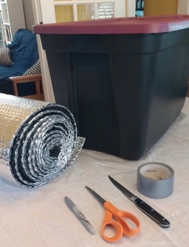 Create a Cozy Winter Shelter for Your Feral Cats: A Step-by-Step Guide