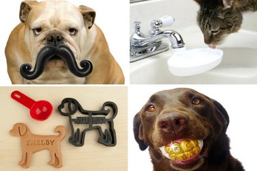 25 Must‑Have Stocking Stuffers to Delight Your Pet