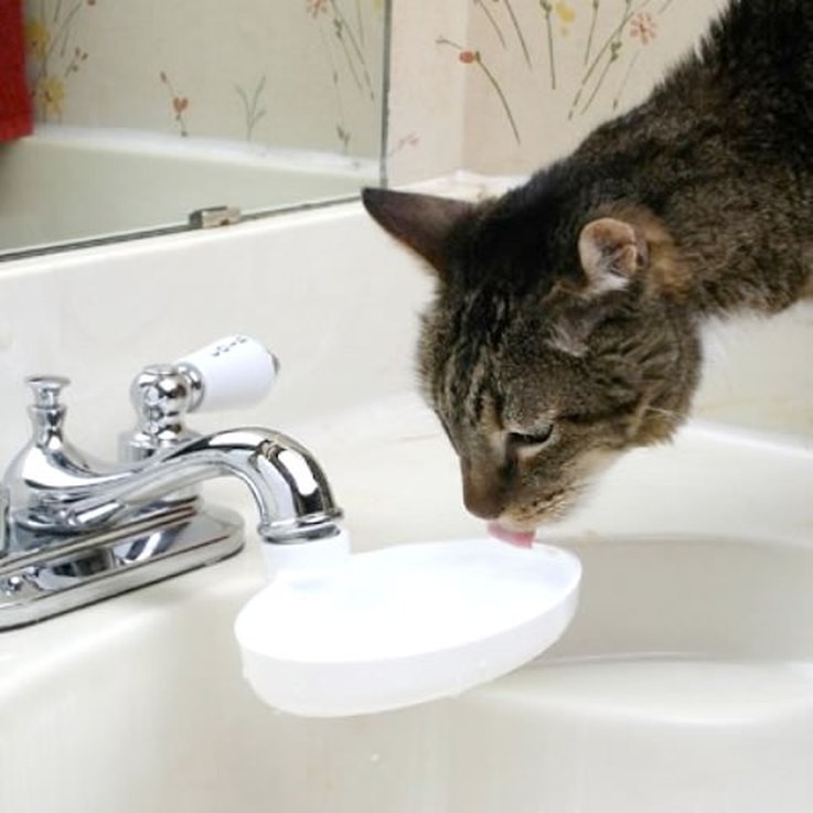 25 Must‑Have Stocking Stuffers to Delight Your Pet