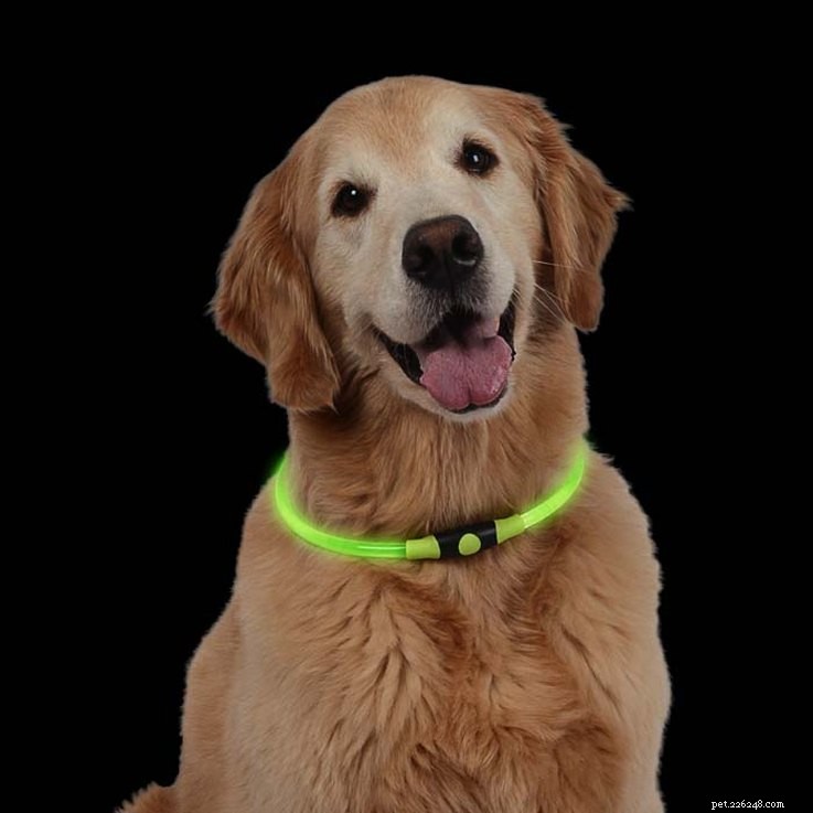 25 Must‑Have Stocking Stuffers to Delight Your Pet