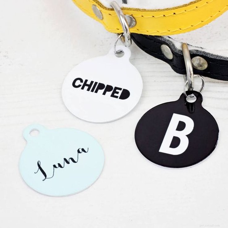 25 Must‑Have Stocking Stuffers to Delight Your Pet