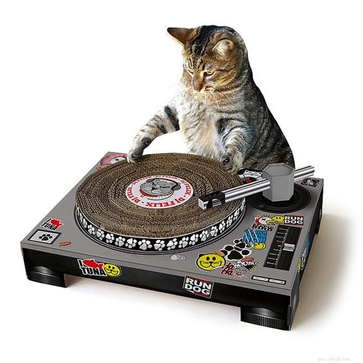 25 Must‑Have Stocking Stuffers to Delight Your Pet
