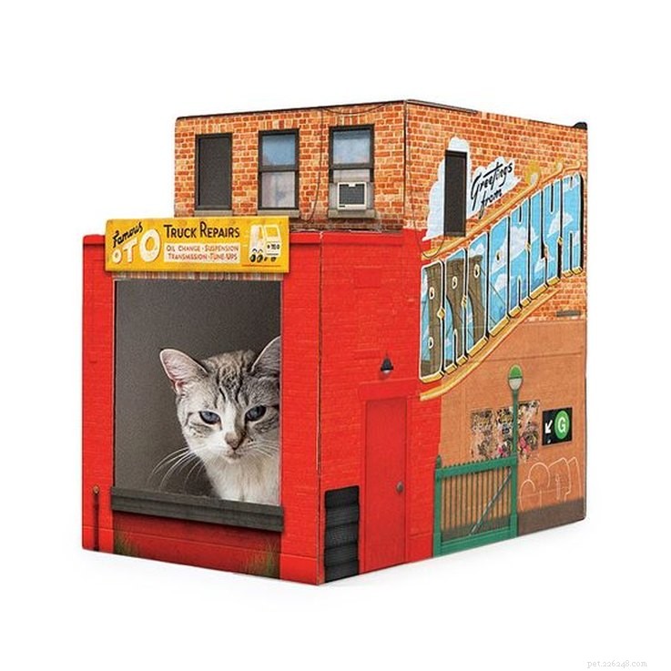 25 Must‑Have Stocking Stuffers to Delight Your Pet