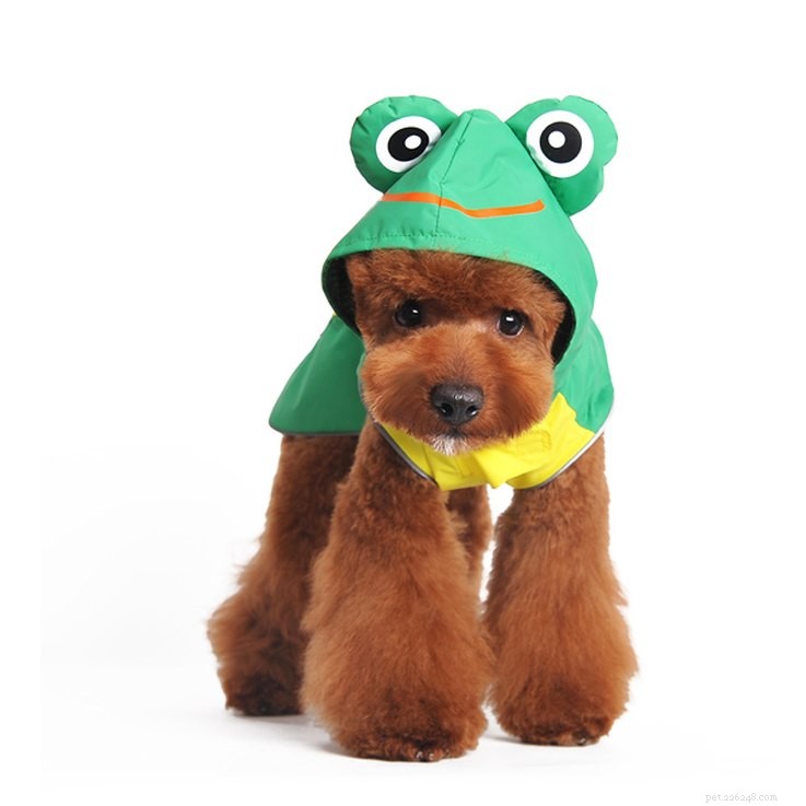 25 Must‑Have Stocking Stuffers to Delight Your Pet