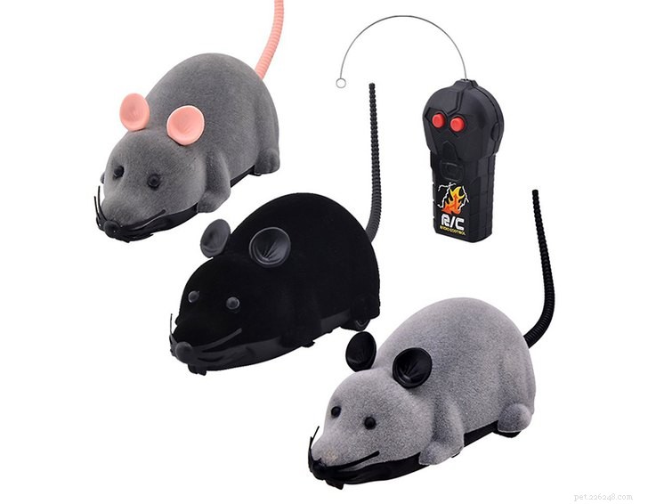 25 Must‑Have Stocking Stuffers to Delight Your Pet