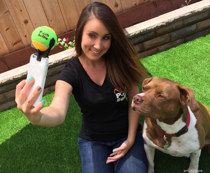 25 Must‑Have Stocking Stuffers to Delight Your Pet
