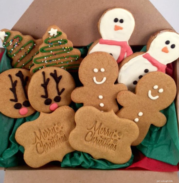 25 Must‑Have Stocking Stuffers to Delight Your Pet