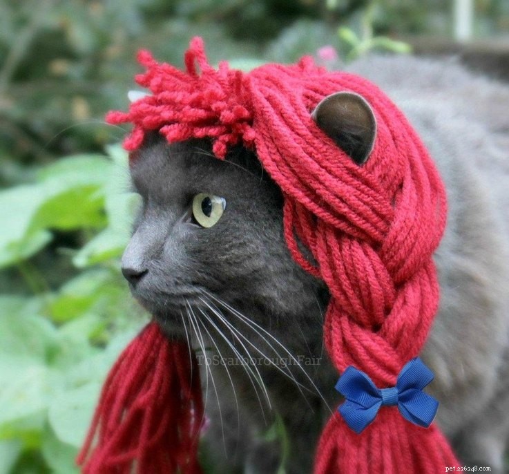 20 Creative DIY Cat Costumes to Make at Home
