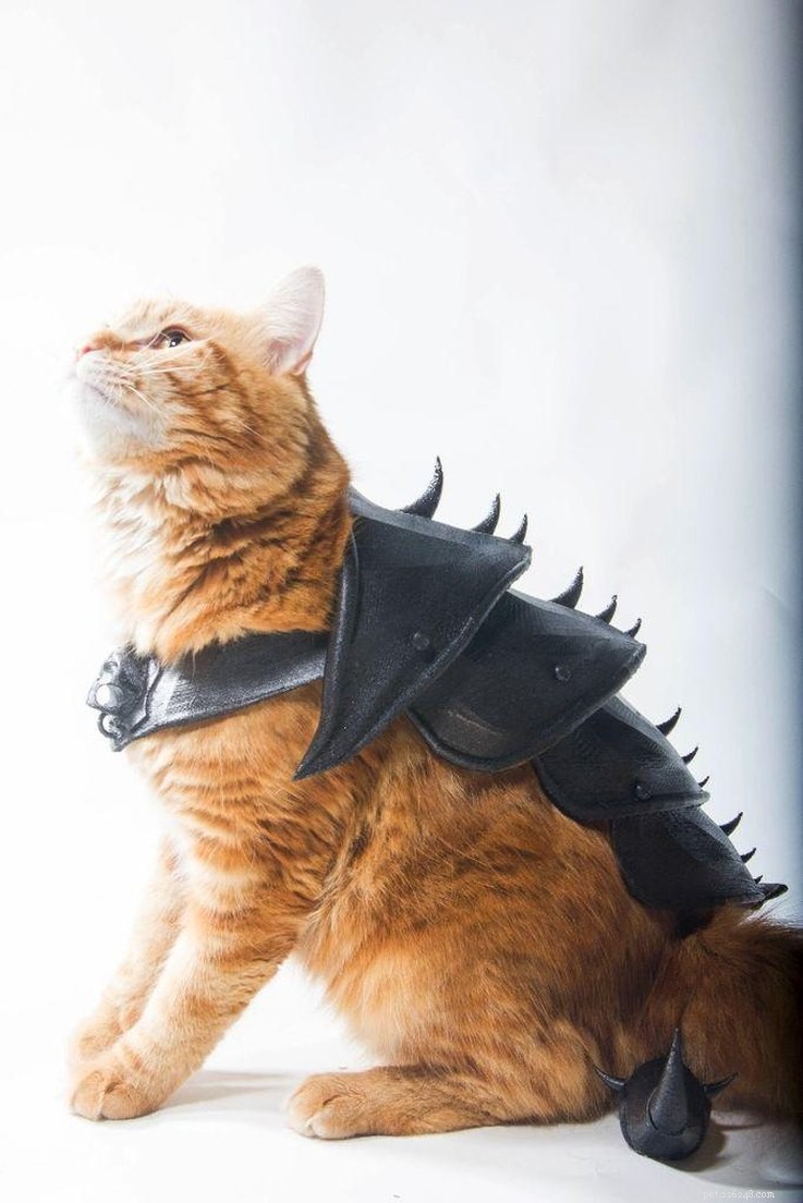 20 Creative DIY Cat Costumes to Make at Home