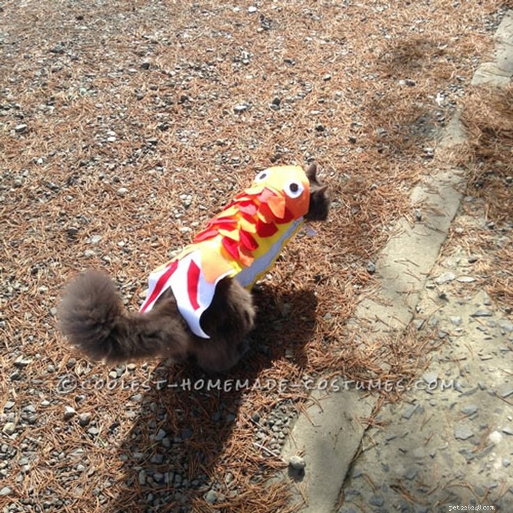 20 Creative DIY Cat Costumes to Make at Home