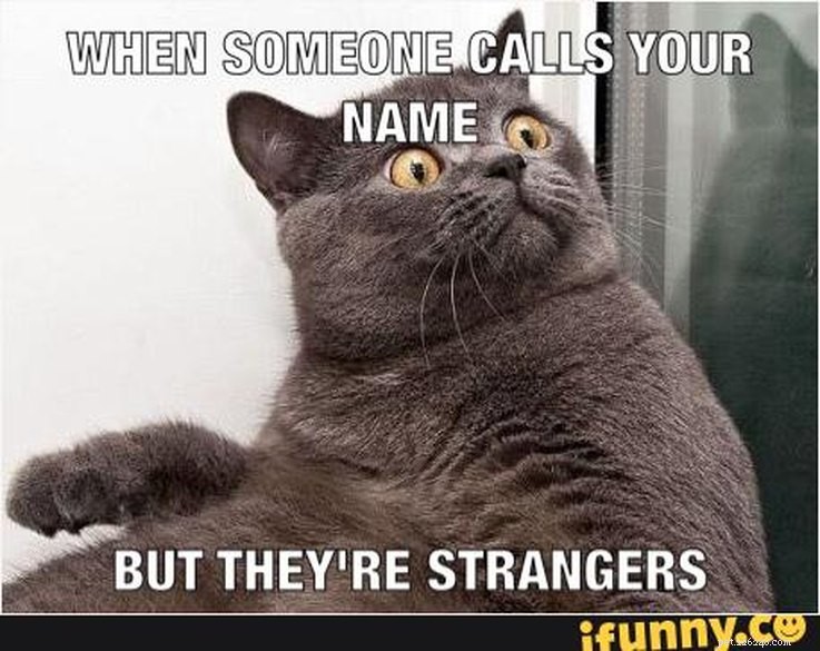 10 Things Cats Absolutely Hate (And How to Avoid Them)