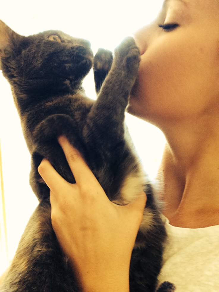 Your Cat Is More Independent Than You Think: What That Means for Your Relationship
