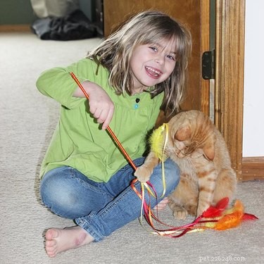 15 Simple DIY Cat Toys Your Feline Will Love