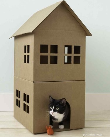 15 Simple DIY Cat Toys Your Feline Will Love