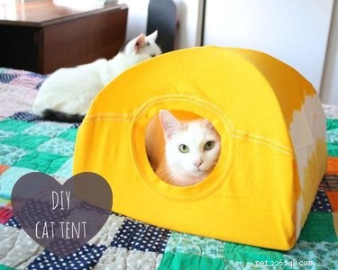 15 Simple DIY Cat Toys Your Feline Will Love