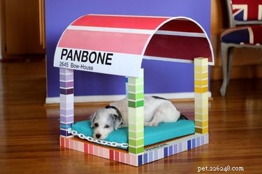 13 DIY IKEA Pet Furniture Hacks: Stylish, Affordable, and Easy to Build