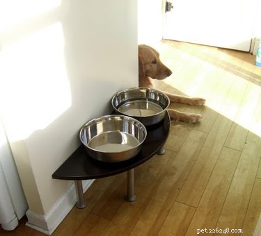 13 DIY IKEA Pet Furniture Hacks: Stylish, Affordable, and Easy to Build