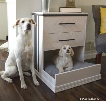 13 DIY IKEA Pet Furniture Hacks: Stylish, Affordable, and Easy to Build