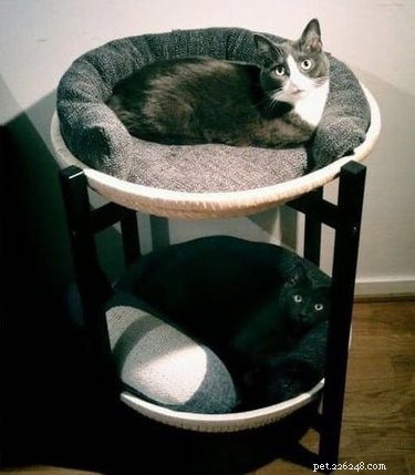 13 DIY IKEA Pet Furniture Hacks: Stylish, Affordable, and Easy to Build