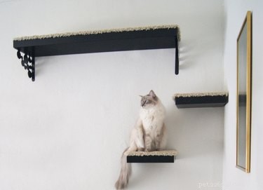 13 DIY IKEA Pet Furniture Hacks: Stylish, Affordable, and Easy to Build