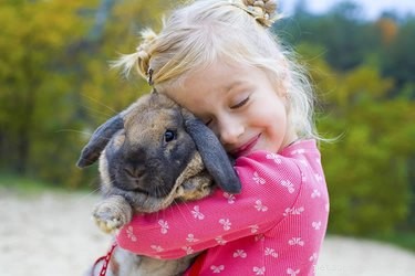 Why We Instinctively Want to Squash Cute Animals: Insights from Yale Researchers
