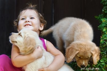 Why We Instinctively Want to Squash Cute Animals: Insights from Yale Researchers