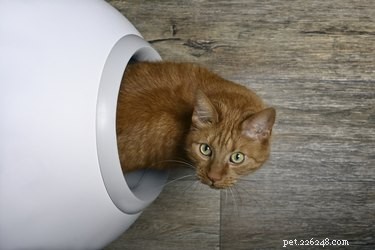 Step-by-Step Guide to Resetting and Troubleshooting Your LitterMaid Cat Litter Box
