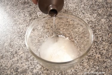 Keep Your Cat’s Fur White: A Simple Daily Care Guide
