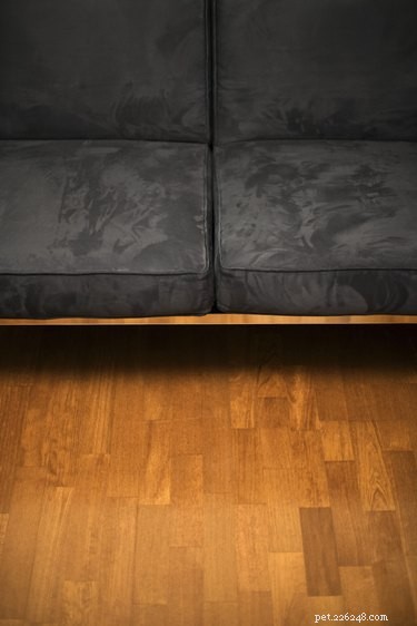Durable Sofas Cat-Proof: Long-Lasting Comfort for Your Home