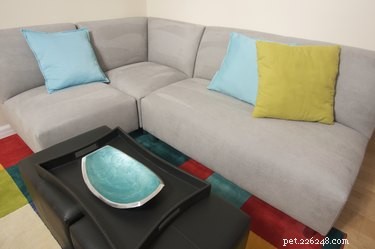 Durable Sofas Cat-Proof: Long-Lasting Comfort for Your Home