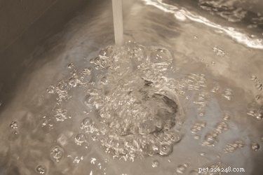 Safe Steps to Remove Motor Oil from Your Cat’s Fur