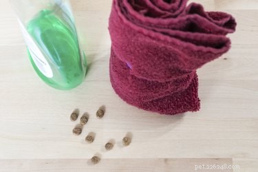 Safe Steps to Remove Motor Oil from Your Cat’s Fur